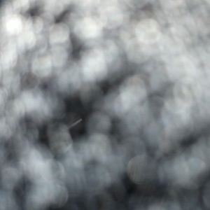 Meet your Posher, Lorena